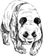 Crafty Stamps - Giant Panda large - AN122M