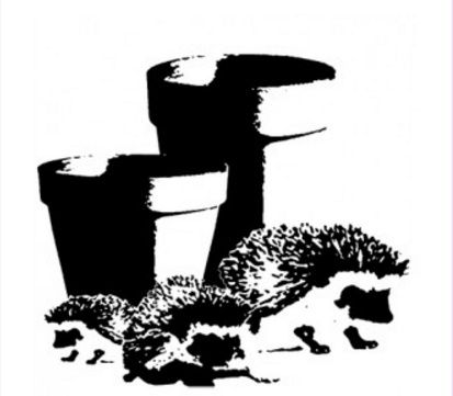 Baby Hedgehogs Art Stamps Imagination Crafts