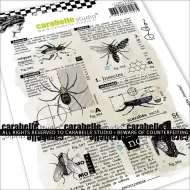 Encyclopedie - Insectes a6 sized stamp by Alexi and Carabelle Studio (SA60682)