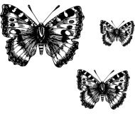 Crafty Stamps - Butterfly Set 1 - AN144K