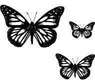 Crafty Stamps - Butterfly Set 2 - AN145K