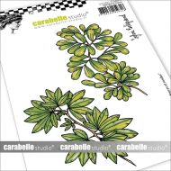 Feuilles douces et rondes by Sylvie Belgrand for Carabelle Studio (SA60560) Cling Stamp A6