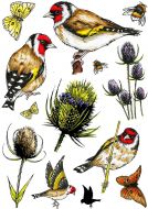 Goldfinch & Teasels A5 Clear Stamp Set by Hobby Art (CS307D)