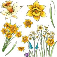 Dancing Daffodils A5 Clear Stamp Stamp Set by Hobby Art (CS335D)