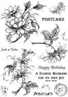 CS207D Hobby Art Stamps - Jeans Flowers 
