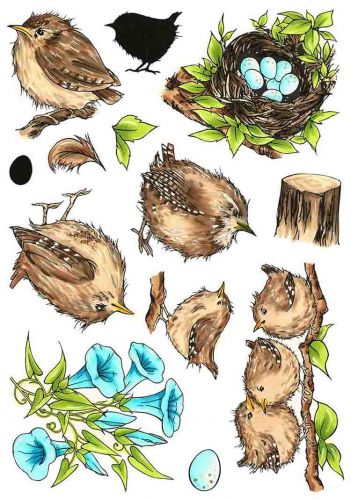 CS247D Hobby Art Stamps - Jenny Wren 