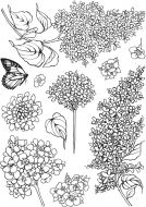 Lilac A5 Clear Stamp Set by Hobby Art (CS311D)