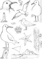 Seagulls A5 Clear Stamp Set by Hobby Art (CS277D)