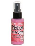 Worn Lipstick *UK ONLY* Distress Oxide Spray