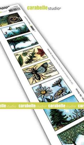 Carabelle Studio - Cling Stamp Edge - 8 labels - Au grand air (SED0038)