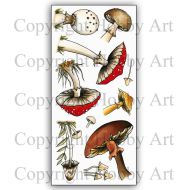 Fungi (CS333D) DL Hobby Art Stamp set by Sharon File