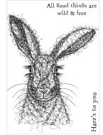 Scribble Hare a6 polymer stamp set by Funky Fossil Designs (CS0147)