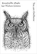 Scribble Owl a6 polymer stamp set by Funky Fossil Designs (CS0149)