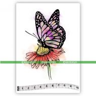 Daisy Butterfly (SOLO127) Single Unmounted Rubber Stamp by Katzelkraft