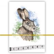Hare (SOLO171) Single Unmounted Rubber Stamp by Katzelkraft