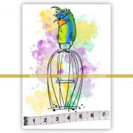 Parrot (SOLO108) Single Unmounted Rubber Stamp by Katzelkraft