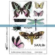 Winged Butterflies (KTZ284) A5 Unmounted Rubber Stamp Set designed by Isa.C.Craft and Katzelkraft